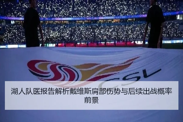 湖人队医报告解析戴维斯肩部伤势与后续出战概率前景