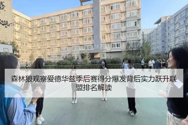 森林狼观察爱德华兹季后赛得分爆发背后实力跃升联盟排名解读