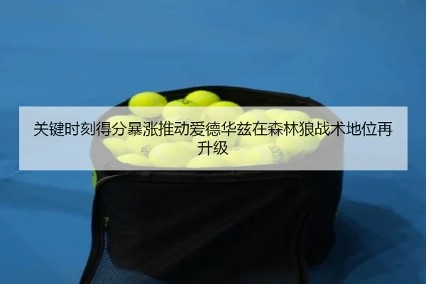 关键时刻得分暴涨推动爱德华兹在森林狼战术地位再升级